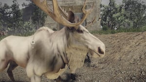 White Moose Header
